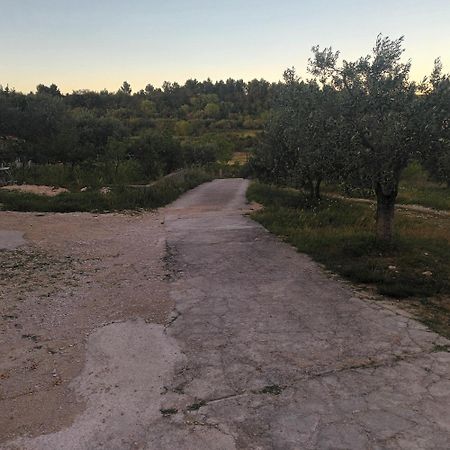 Apartman Skradin Esterno foto